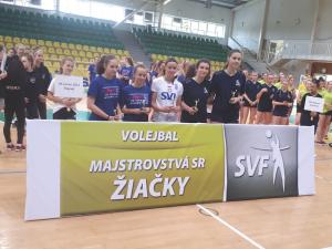 Ocenene najlepsie hracky M SR ST Z Levice 2017